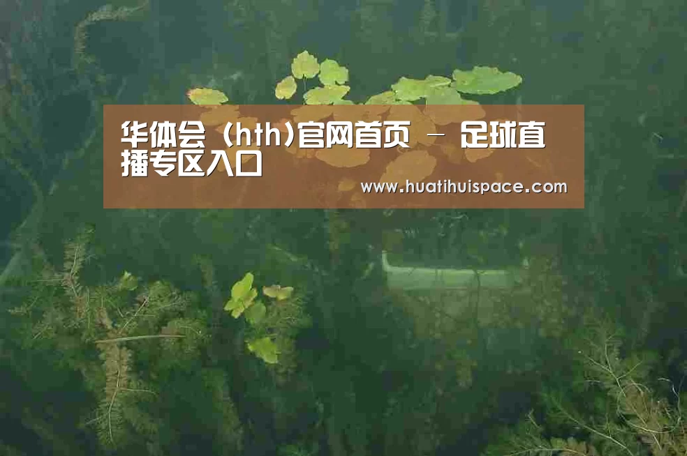 案例展示三