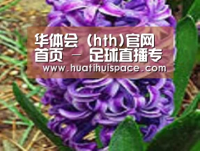 产品名称八