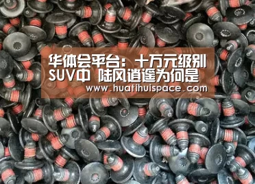 华体会平台:十万元级别SUV中 陆风逍遥为何是年轻人的首选(图4) 华体会平台:十万元级别SUV中 陆风逍遥为何是年轻人的首选(图4)