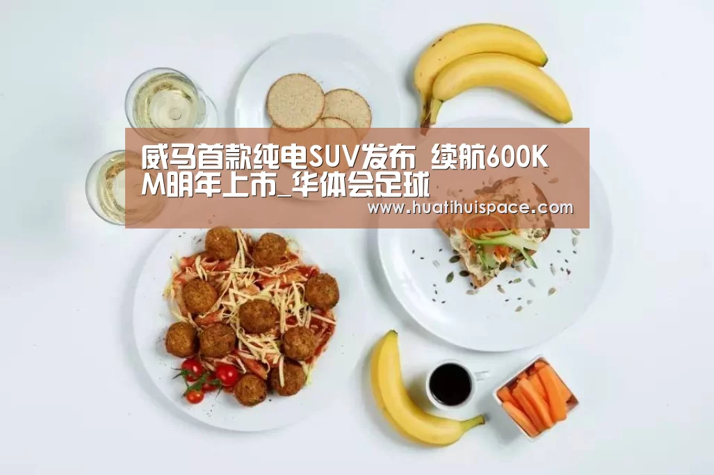 威马首款纯电SUV发布 续航600KM明年上市_华体会足球