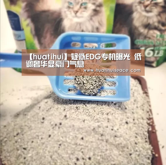 【huatihui】疑似EDG专机曝光 低调奢华显豪门气息(图3)